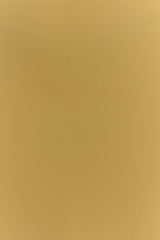 Katalina Chiffon Maxi Skirt - Butterscotch